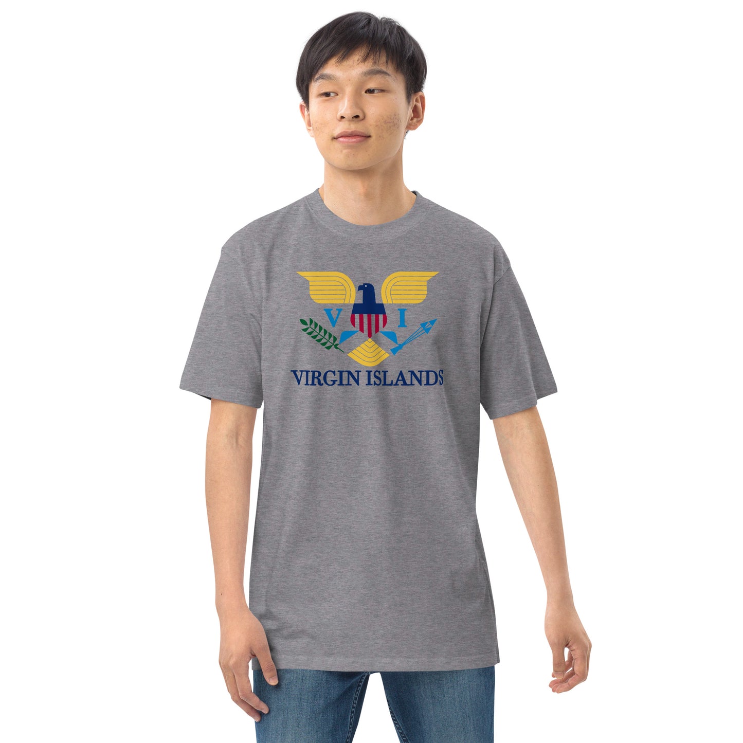 VI Men’s premium heavyweight tee