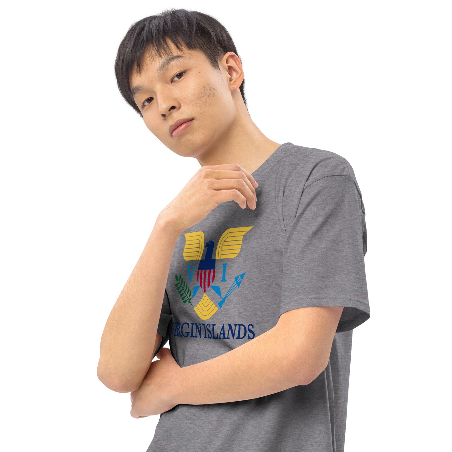 VI Men’s premium heavyweight tee