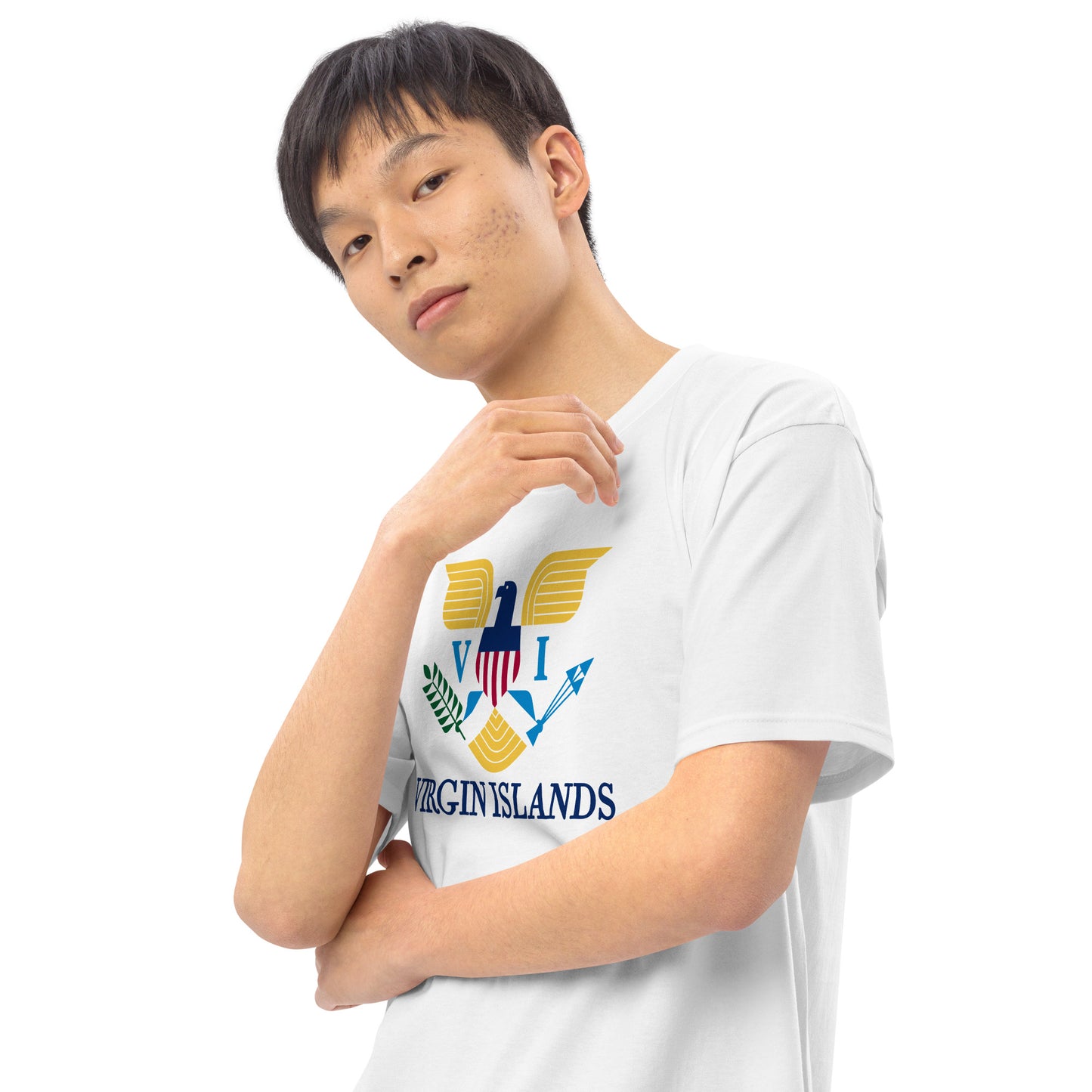 VI Men’s premium heavyweight tee
